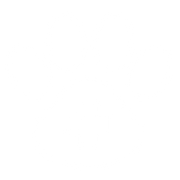 pet medical care icon