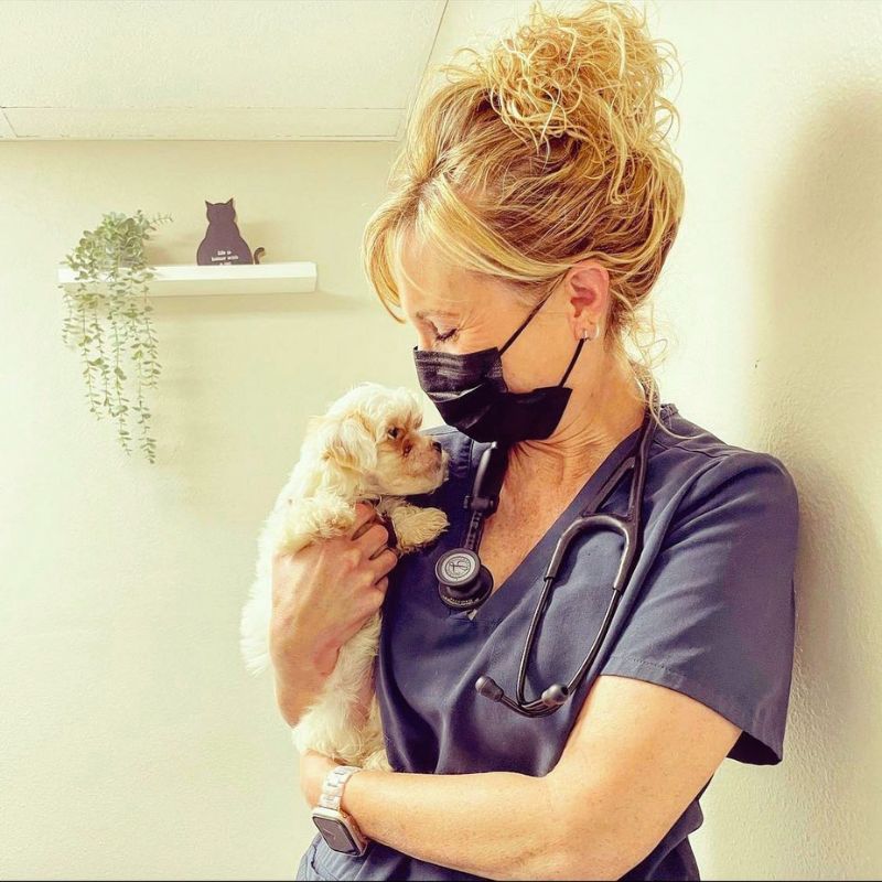 Pet Health Certificates In San Diego, CA 92109 ABC Veterinary