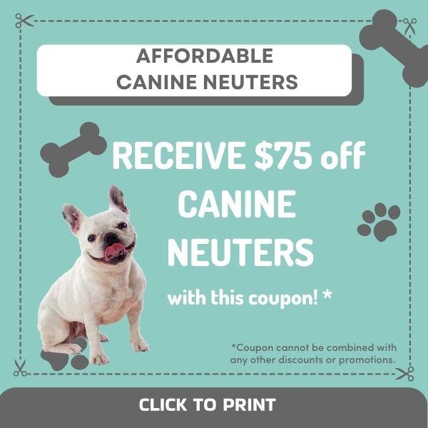 canine neuters - $75 off