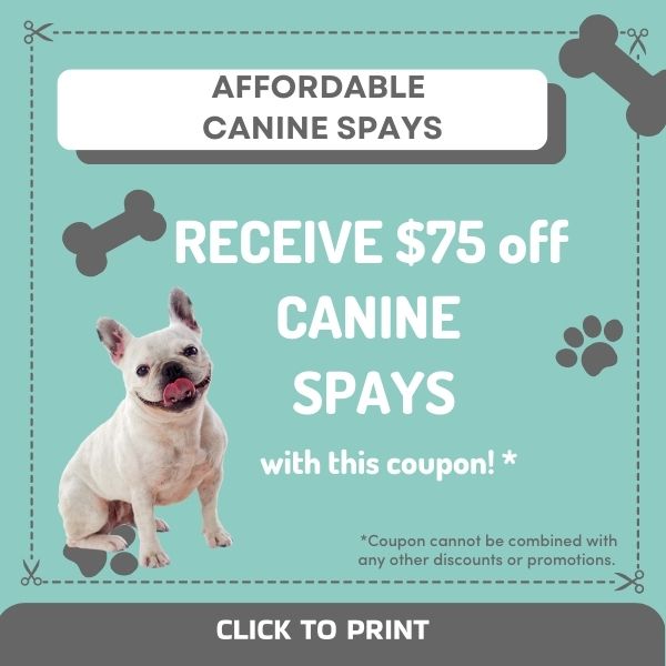 Canine spay coupon