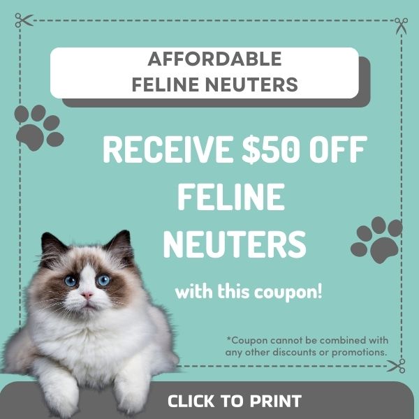 feline neuter coupon