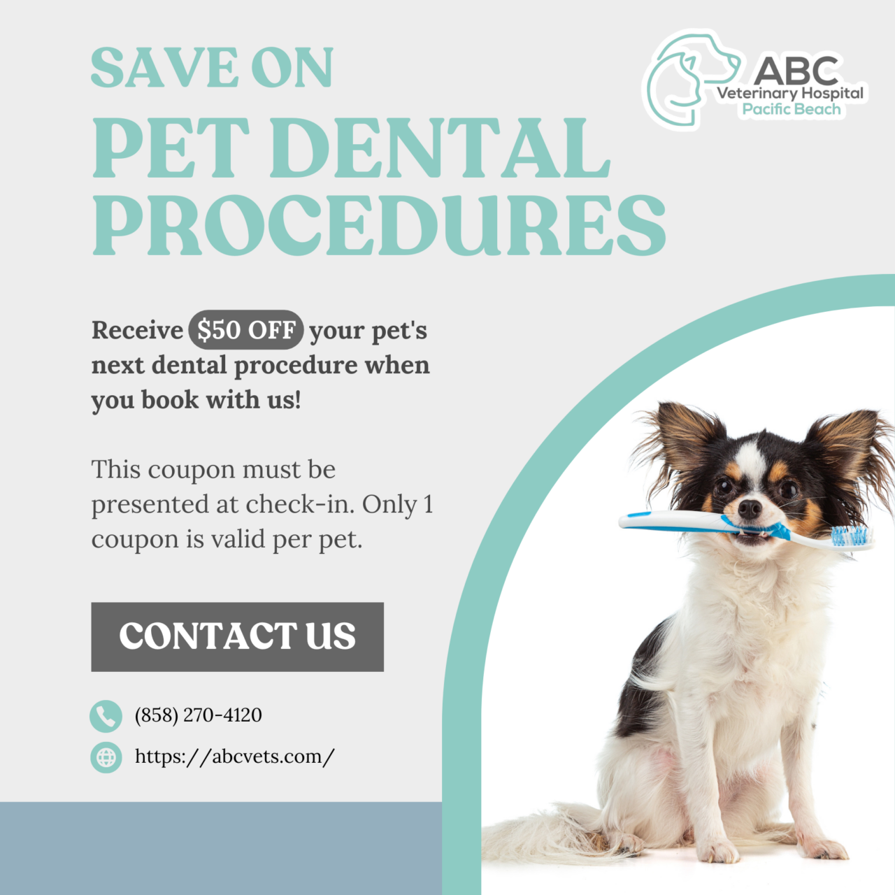 ABC Veterinary Hospital Coupons For Veterinary Care ABC Veterinary Hospital Pacific Beach