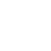 pet surgery icon