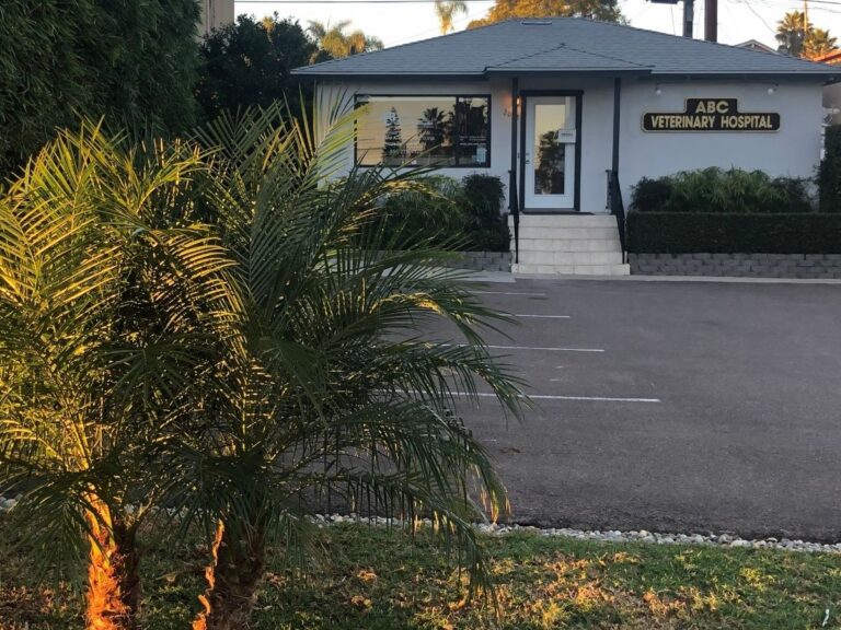 A building with palm trees in front of it