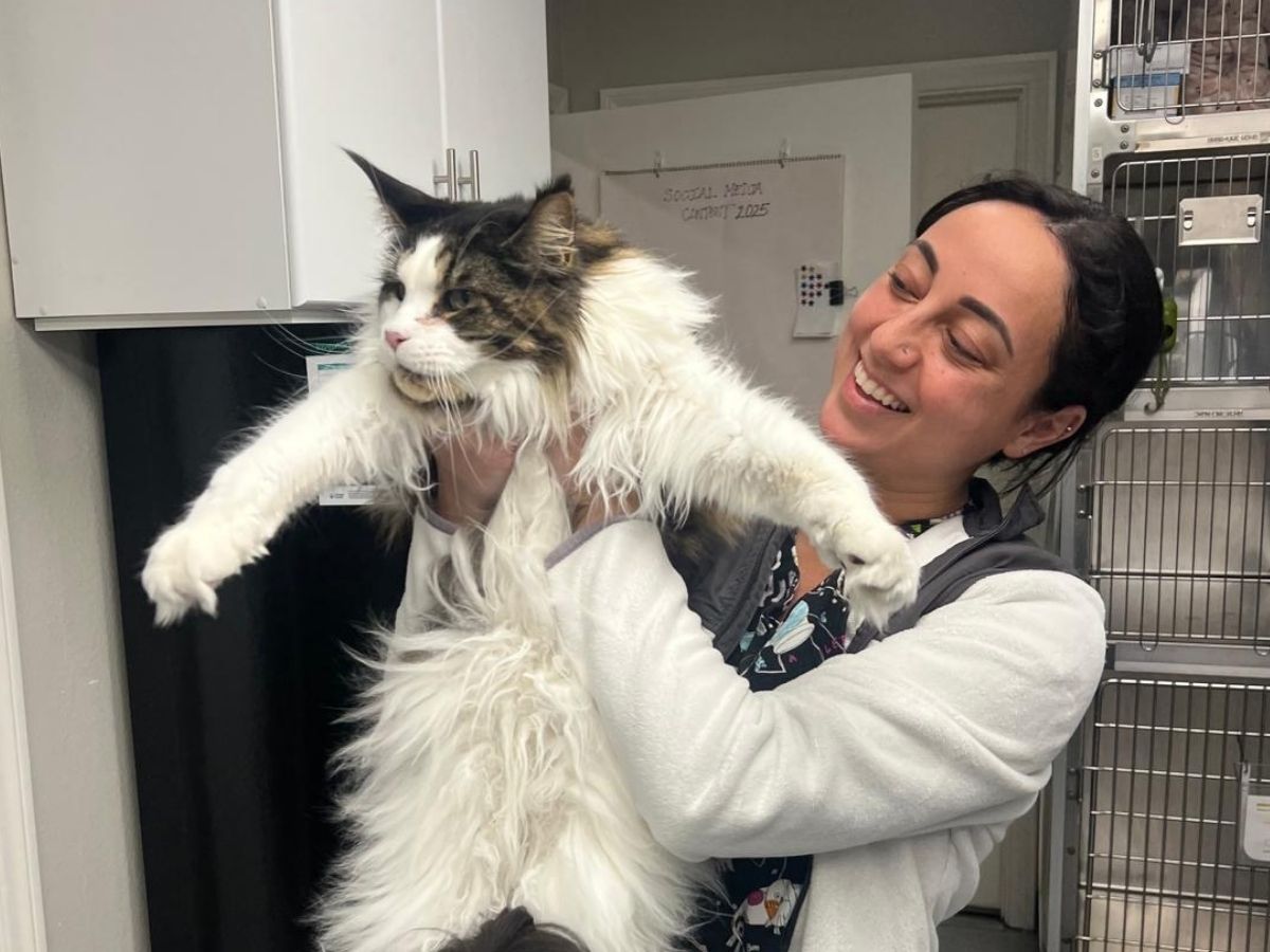 A person holding a large cat in their arms