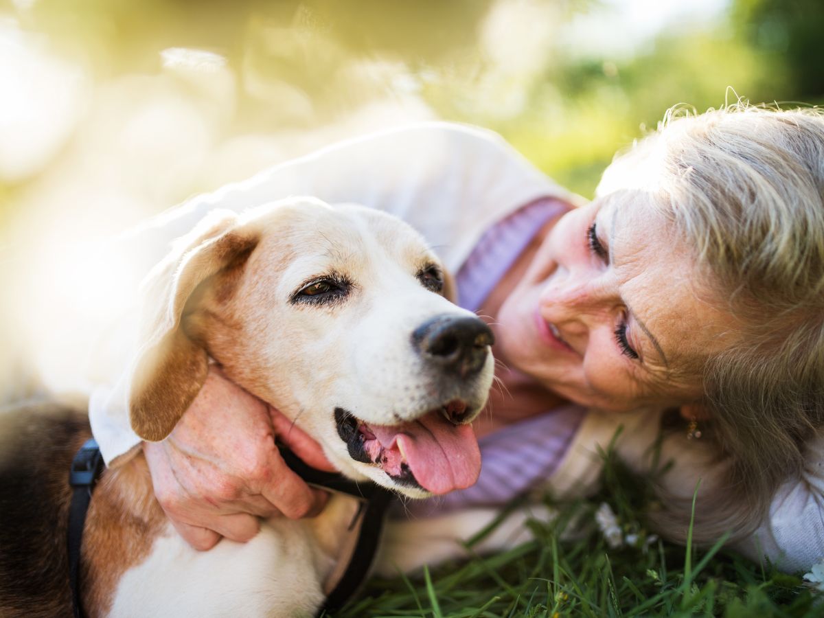 A person petting their dog in the grass
