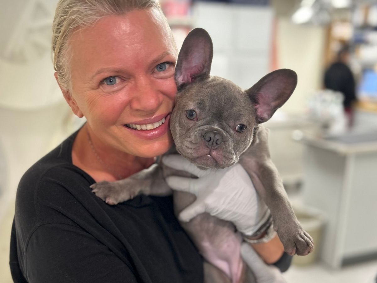 a person holding a small dog in an office