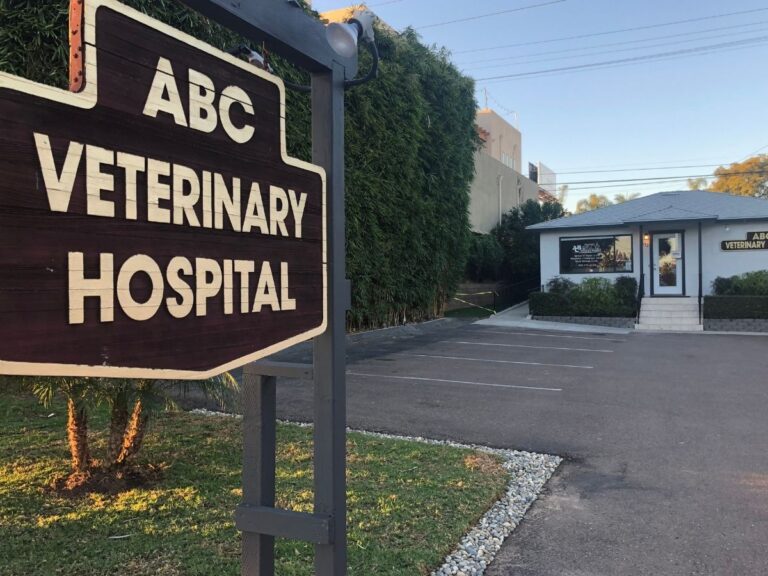 a sign that says abc veterinary hospital in front of a building