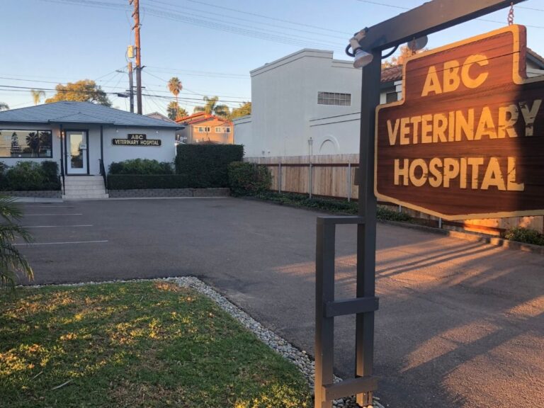 an abc veterinary hospital sign in front of a building