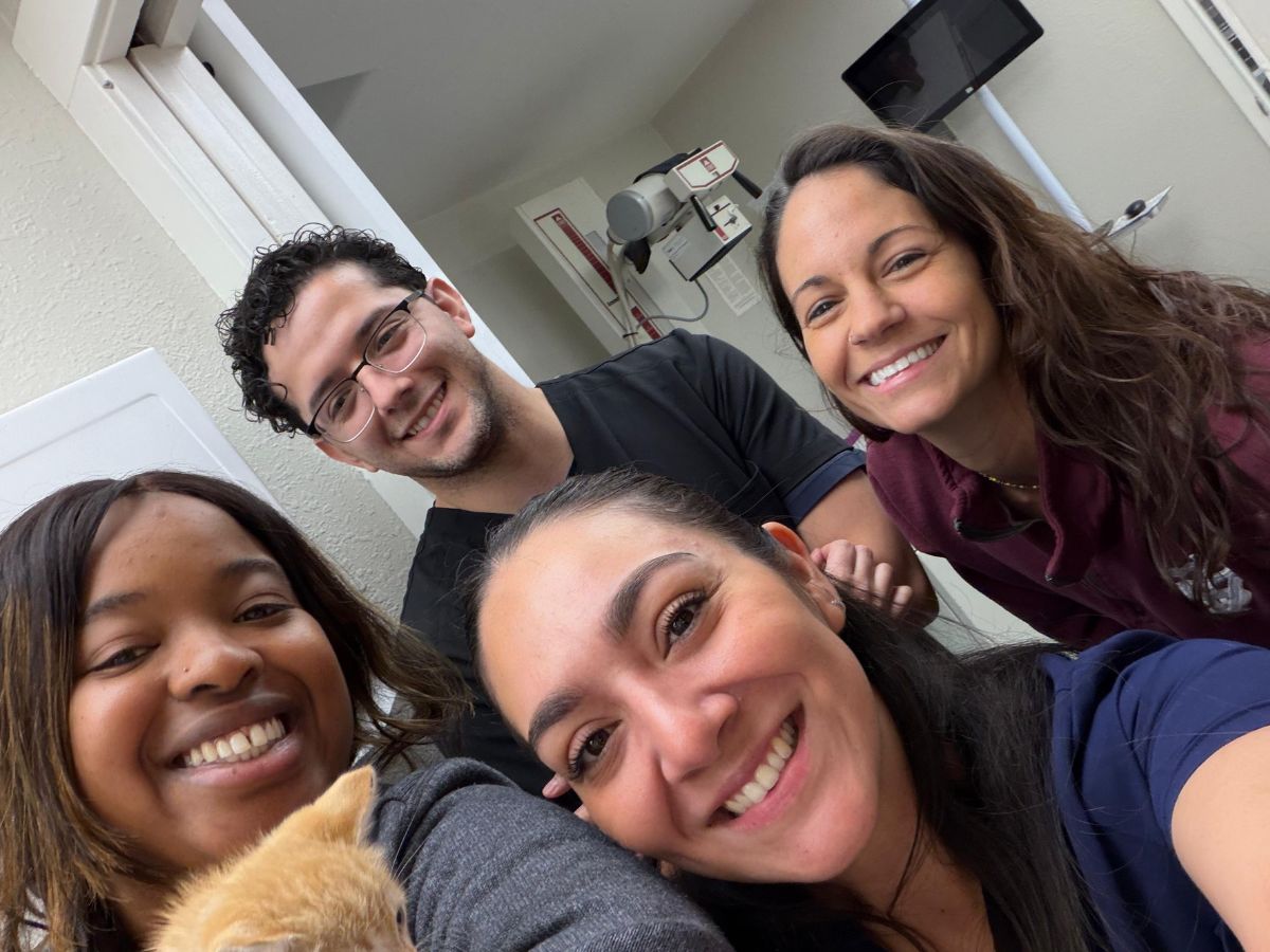 A group of four smiling people pose for a selfie, with one person holding a small orange kitten.
