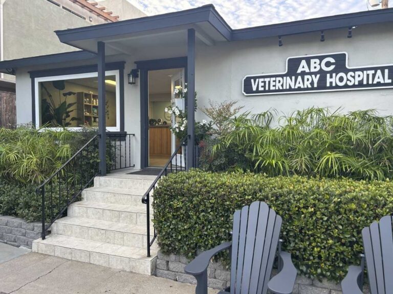 Hospital entrance